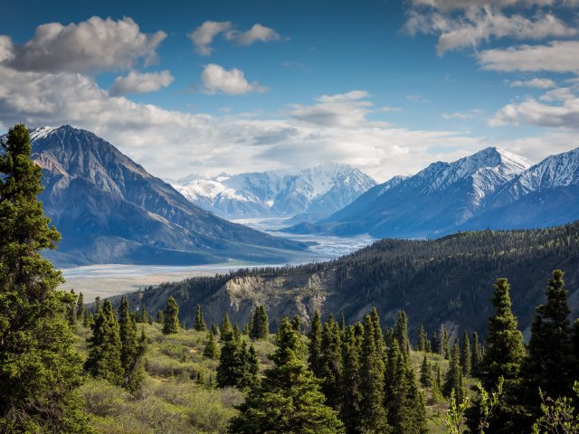 kalen-emsley-Bkci_8qcdvQ-unsplash